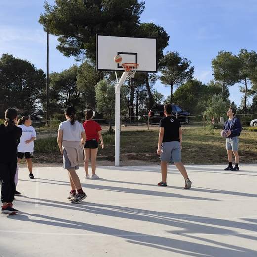 Deporte y comunidad al aire libre 🏀